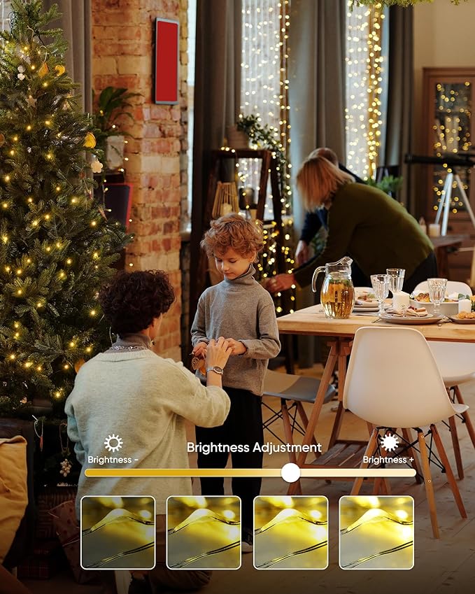 Homemory 4 Pack 20 Ft 60 LED Fairy Lights Battery Operated Christmas Lights with Remote Waterproof 8 Modes Firefly Twinkle String Lights for Party Bedroom Wedding Halloween Decorations-VerdiqueGarden