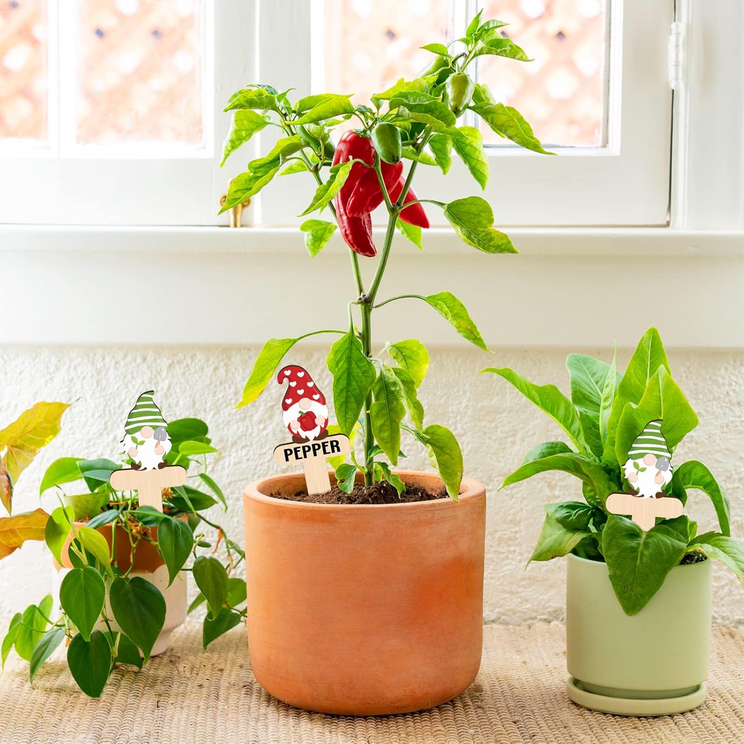 Huray Rayho Gnome Wooden Plant Markers for Vegetable Flowers Garden Potted Plants Tags 15-Pack Funny Wood Plant Labels Garden Stakes Patio Decorations Funny Gifts for Plant Lady Woman Novelty Gift-VerdiqueGarden