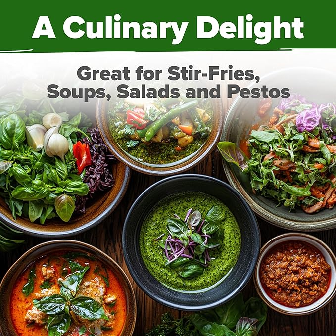 HOME GROWN Thai Basil Seeds Pack - 438 High Germination 𝗡𝗢𝗡-𝗚𝗠𝗢 𝗨𝗦𝗔 Heirloom Herb Seeds for Planting,Ideal for Growing Fresh Basil Planting Indoor or Outdoor(Ocimum basilicum var.thyrsiflora)-VerdiqueGarden