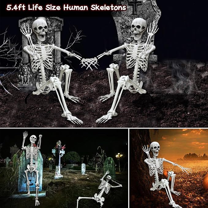 Lodou 5.4Ft Posable Life Size Human Adult Skeletons Plastic Human Bones with Movable Joints for Halloween Decoration-VerdiqueGarden