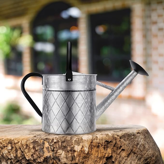 1.75 Gallon Outdoor Galvanized Metal Watering Can for Garden Plants, Vintage Zinc Watering Can with Removable Spray Spout, Ideal for Outdoor Use (Silver)-VerdiqueGarden