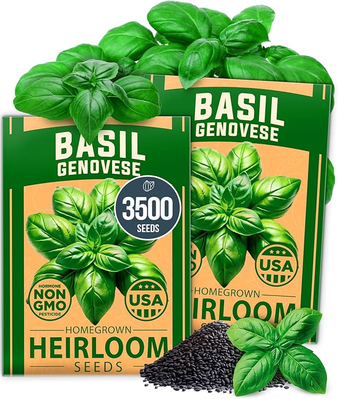 HOME GROWN Genovese Basil Seeds 2 Pack - 3500 𝗡𝗢𝗡-𝗚𝗠𝗢 𝗨𝗦𝗔 Heirloom Basil Seeds for Planting (Ocimum basilicum) - Herb Seeds for Indoor & Outdoor Gardening - Grow for Culinary Use-VerdiqueGarden