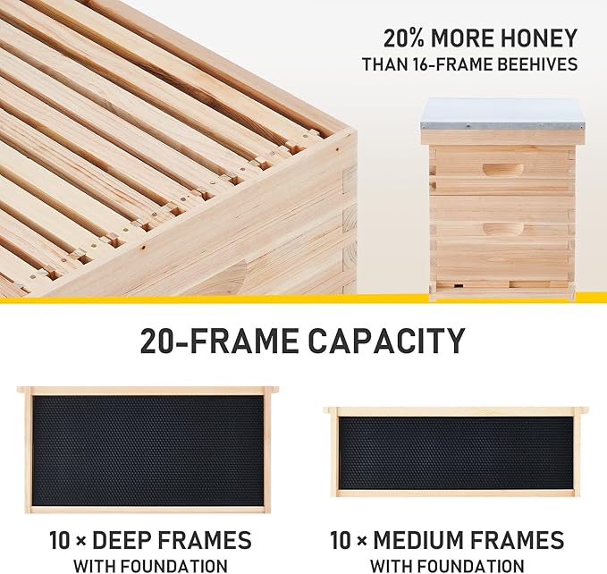 CREWORKS Bee Hive Boxes 10 Frame Langstroth Beehive, Bee Keeping Starter Kit Includes 1 Super Bee Box & 1 Bee Brood Box with Beehive Frames and Foundation, 2 Layers Complete Bee Hive Kit-VerdiqueGarden