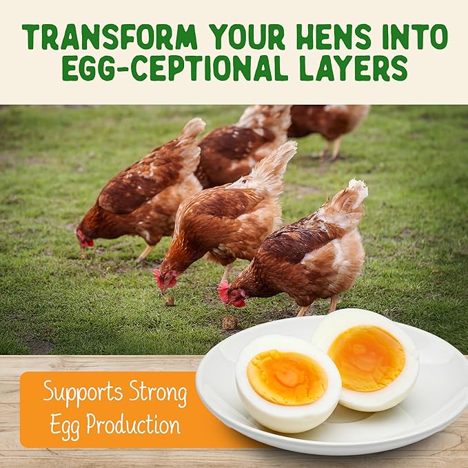 Doc Eddie’s Backyard Chicken Supplement - Plant-Based Treats for Egg Laying Hens - Poultry Feed Enrichment Made with Omega 3 Rich Algae - Essential for Immune Health, Feather Regrowth, Egg Production-VerdiqueGarden