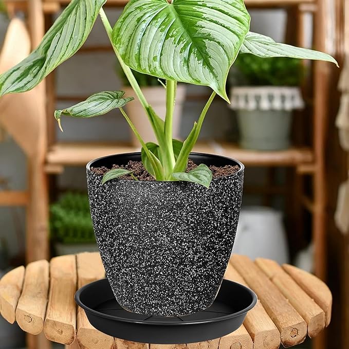 1 Pack of Plant Saucer Tray 8 inch, Heavy Duty Plastic Pot Plant Drip Trays Saucers for for Indoors Outdoor, Plant Water Tray for Planters (8", Black)-VerdiqueGarden