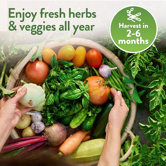 Home Grown 32,000+ Heirloom Seeds for Planting Vegetables and Herbs Bundle: 70 Unique Varieties - 100% Non-GMO Survival Seeds for Planting Indoor or Outdoors-VerdiqueGarden