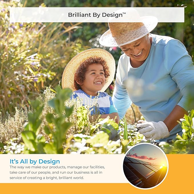 Suncast 33.5-Gallon Capacity Package Delivery Box, Parcel Drop Box with Lock, Weather Resistant Outdoor Storage Solution for Secure Package Deliveries, Made in USA-VerdiqueGarden