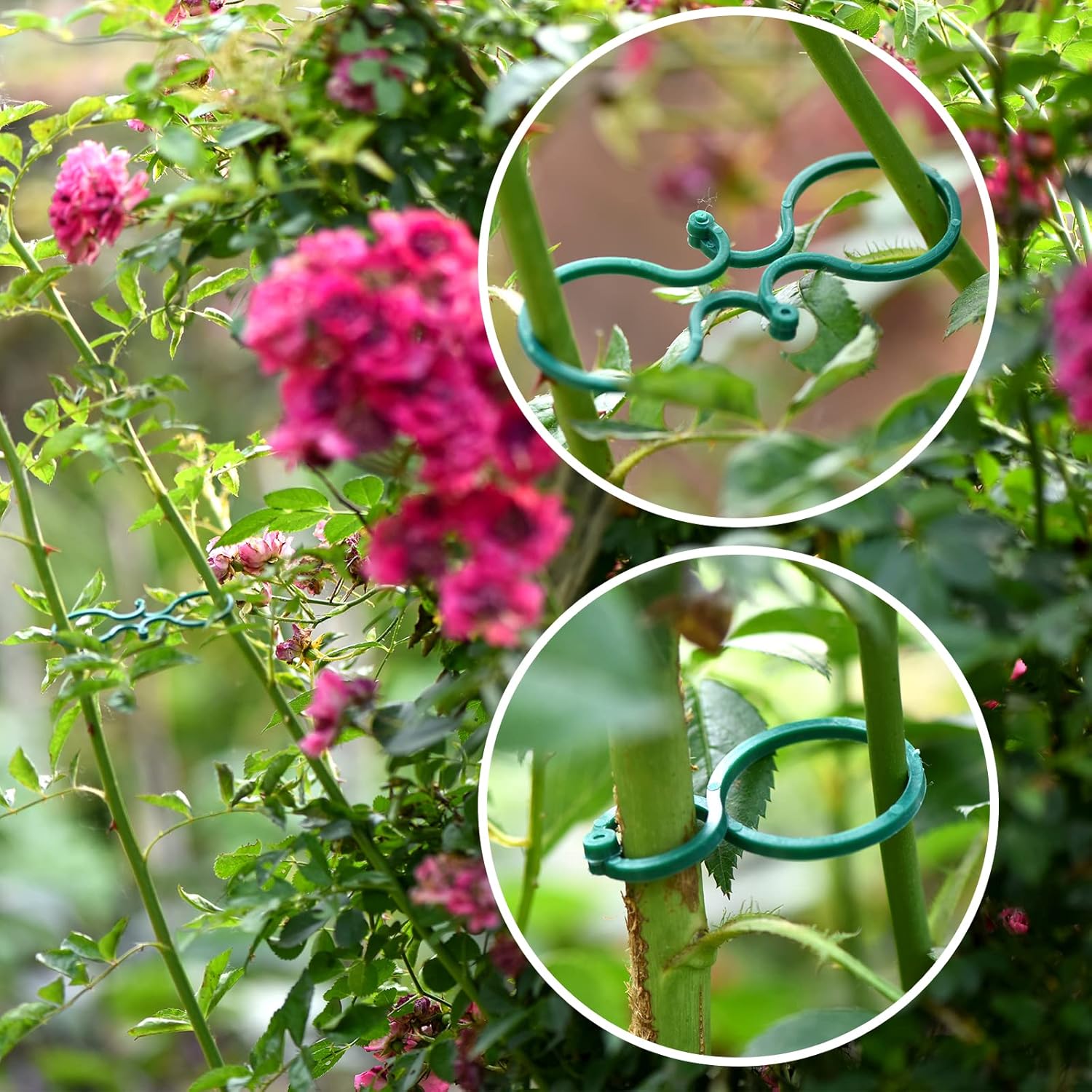 118ft Soft Green Twist Garden Ties with 20PCS Clips for Plants - 2mm Diameter-VerdiqueGarden