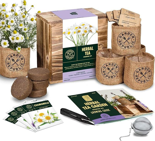 Indoor Herb Garden Seed Starter Kit - Herbal Tea Growing Kits, Grow Medicinal Herbs Indoors, Seeds for Planting, Soil, Plant Markers, Pots, Infuser, Planter Box, Gardening Gifts for Women-VerdiqueGarden