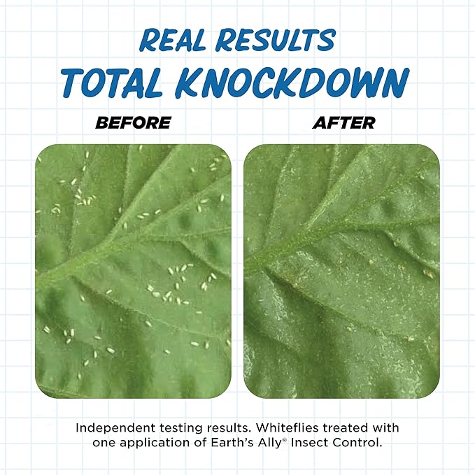 Earth's Ally Insect Control for Plants Ready-to-Use 24 oz | Safe Outdoor & Indoor Plant Insecticide, Spider Mite, Aphid & Mealybug Killer - Effective Spray for Organic Garden & Household Plants-VerdiqueGarden