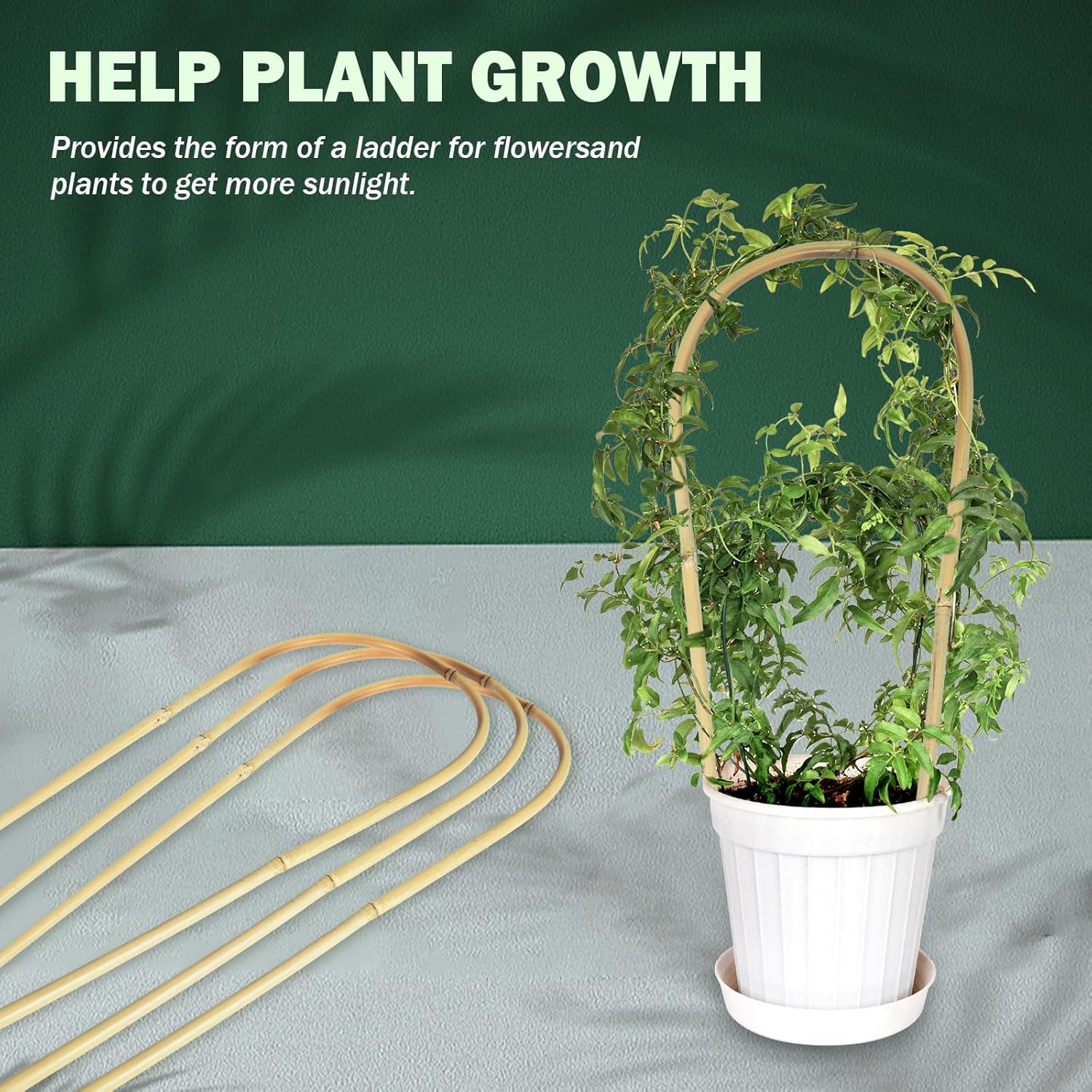 Natural U-Hoops Bamboo Plants Trellis 3Ft, Garden Trellis U-Shape for Climbing Plants, Garden Arch Trellis Support for Potted Plants, Vines, Ivy Climbing Plants, Flowers-3 Pack-VerdiqueGarden