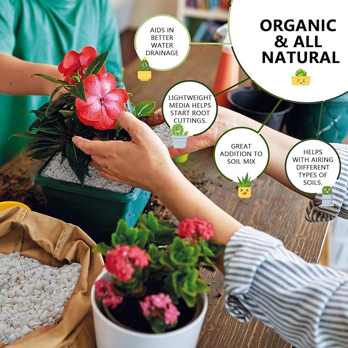 10QT Horticultural Perlite Bulk, Organic Perlite for Plants, Course Perlite for Gardening, for Plants Indoor, for Houseplants, to Promotes Soil Root Growth, and Water Drainage and Plant Growth(3-6mm)-VerdiqueGarden