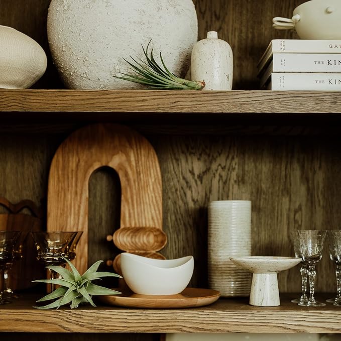 Holiday Hosting Gift Box Giant - 13ct -Tillandsia Air Plant Set - Live Arrival Guaranteed - House Plants for Home Decor & Gift-VerdiqueGarden