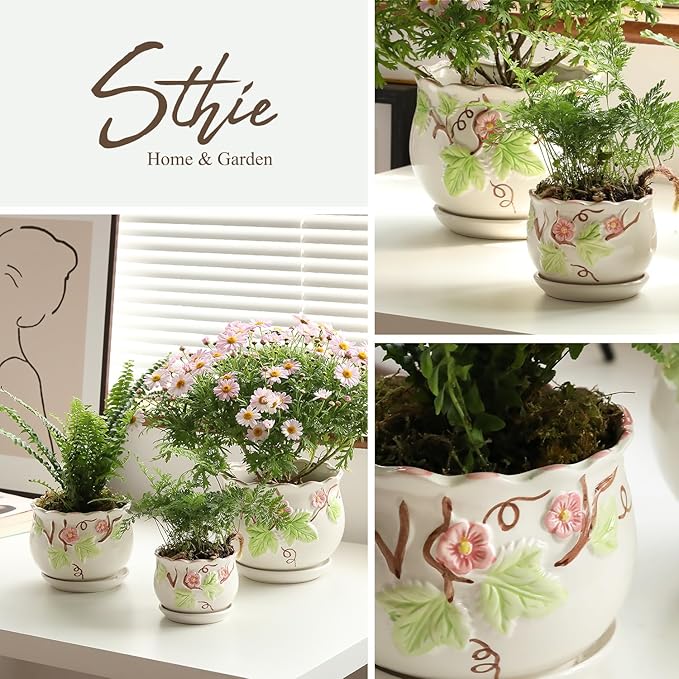 Ceramic Plant Pots with Drainage Holes and Saucers, Round Flower Pots for Indoor Plant, 3.9/5.2/6.7 Inches Small Flower Planters Set of 3-VerdiqueGarden