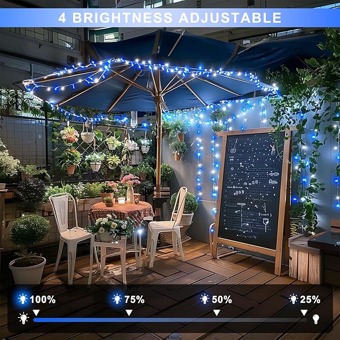 JMEXSUSS Connectable Blue and White Christmas Lights, 8 Modes 100 LED Twinkle String Lights Indoor, Clear Wire Plug-in Christmas String Lights Outdoor Waterproof-VerdiqueGarden