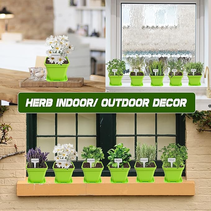 10 Herb Seeds Garden Starter Grow Kit with Green Pots, Markers, Nutritional Soil, Watering, Herb Clipper, Complete Indoor Potted Plant Growing Set for Kitchen DIY-VerdiqueGarden