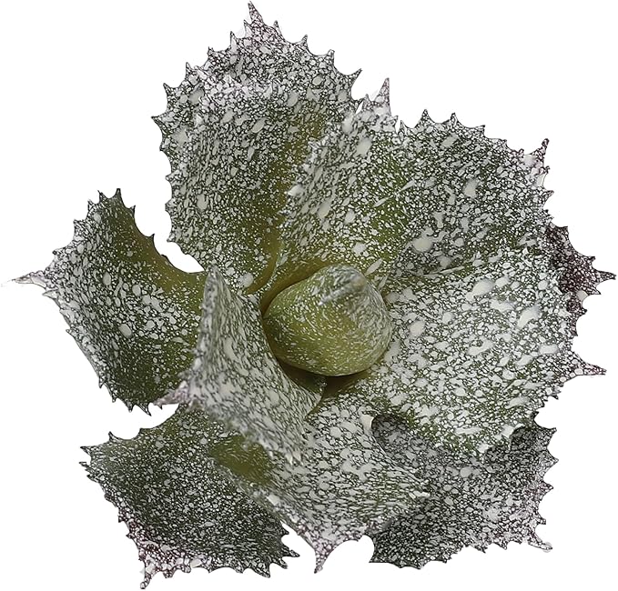 Duovlo Artificial Succulent Plant 5.15 Inch Faux Succulents Agave potatorum Flower Arrangement Craft Wall DIY Materials,Pack of 2 (New Green)-VerdiqueGarden