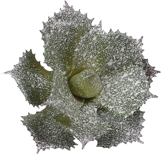 Duovlo Artificial Succulent Plant 5.15 Inch Faux Succulents Agave potatorum Flower Arrangement Craft Wall DIY Materials,Pack of 2 (New Green)-VerdiqueGarden