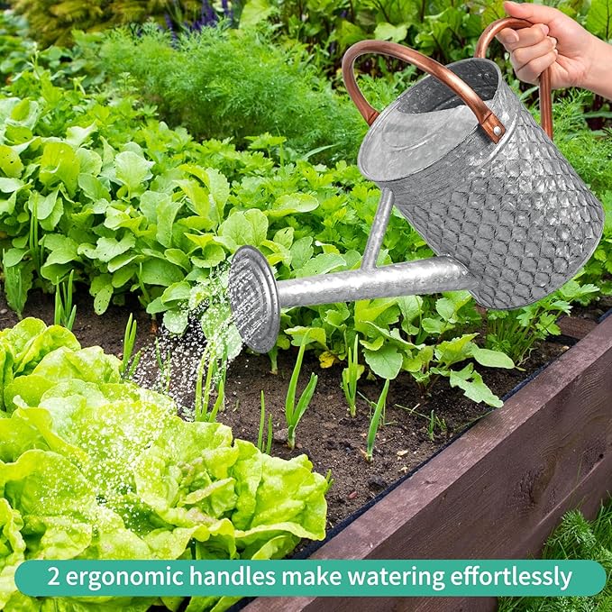 1 Gallon Metal Watering Can for Outdoor Indoor Plants, Galvanized Watering Can with Removable Spray Spout, Ideal for Garden Watering-VerdiqueGarden