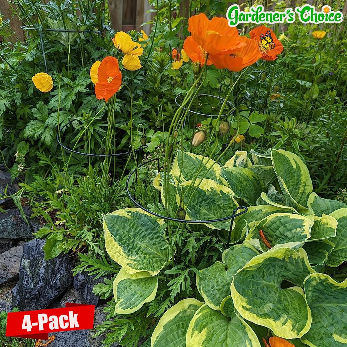 Snake Plant Support Stake - Half Round Peony Stake and Support, Hydrangea Support Cage Ring Stabilizer, Plant Supports for Potted Indoor Plants (4 Pack, 14x8Inch)-VerdiqueGarden