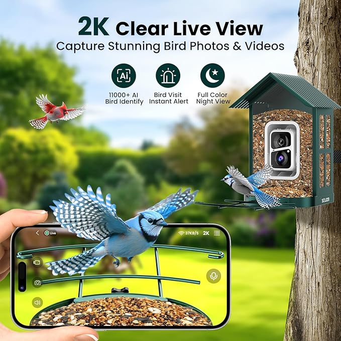SOLIOM Solar Bird Feeder with Camera for Outdoors - AI Smart Birdhouse, 2K Live View & Instant Alerts, Squirrel Proof - Perfect Bird Watching Gift (Green)-VerdiqueGarden