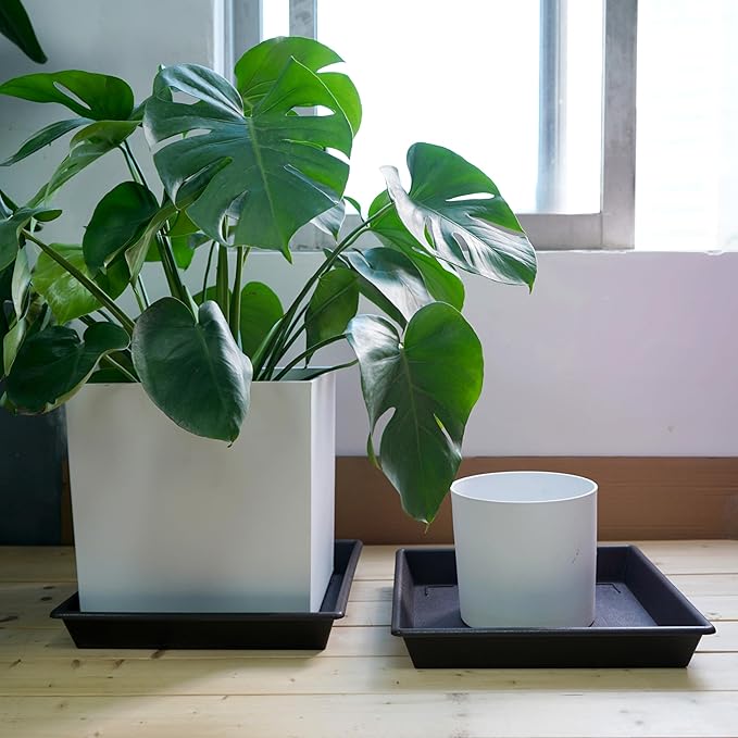 Square Plant Saucer 12 Inch 5 Pack, Plant Stand Plant Trays for Pots Heavy Duty Plastic Plant Saucers for Indoors Outdoors, Flower Pot No Holes Plant Lover Gardening Gifts-VerdiqueGarden