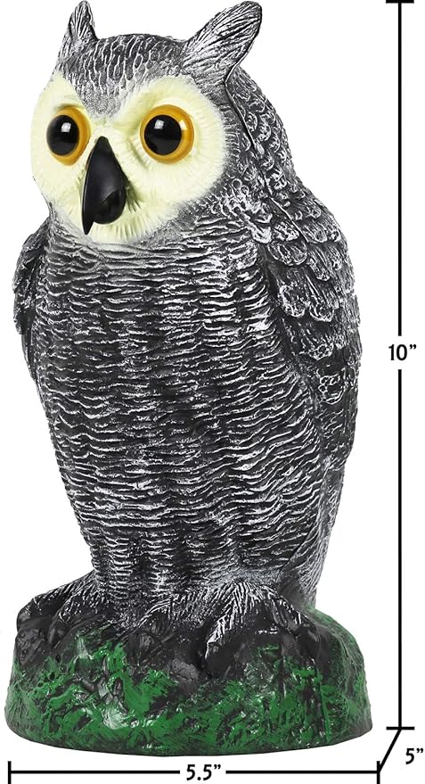Galashield Owl Decoy to Scare Birds Away | Plastic Owls to Scare Birds Away | Owl Statue for Garden & Outdoors-VerdiqueGarden