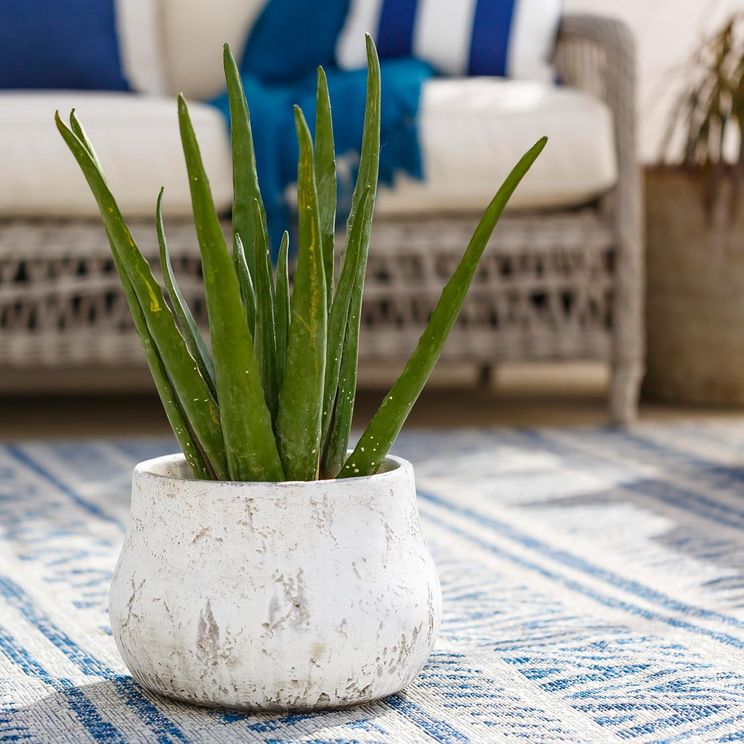 Mark&Day Planters, Zlataritsa Traditional Taupe Planter, Decorative Home Decor Accents for Living Room Bedroom Kitchen Office (8" H x 12" W x 12" D)-VerdiqueGarden