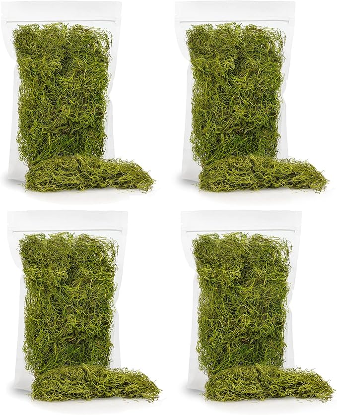 Premium Spanish Moss in Spring Green| Natural Preserved - 20 Quart - Great Ground Cover - Filler for Potted Plants - by GARDENERA (4 Bags of 5 Quart)-VerdiqueGarden