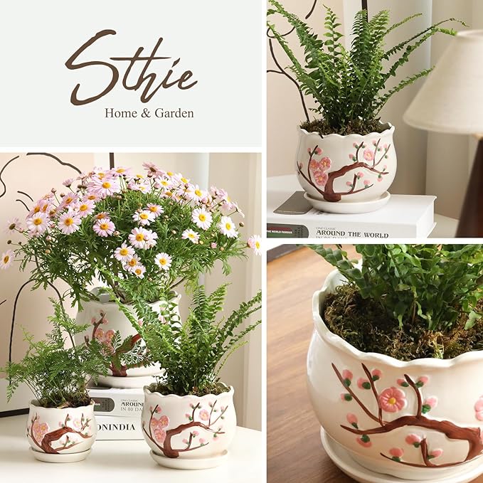 Ceramic Plant Pots with Drainage Holes and Saucers, Round Flower Pots for Indoor Plant, 3.9/5.2/6.7 Inches Small Flower Planters Set of 3-VerdiqueGarden