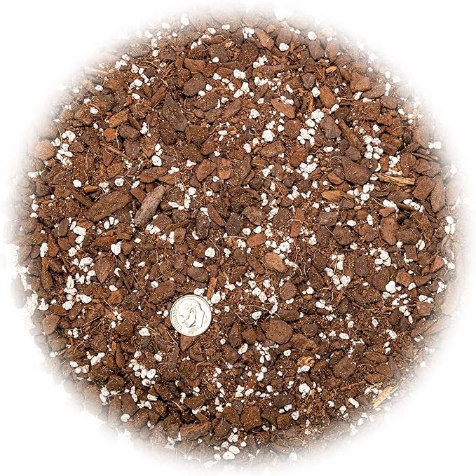 Premium Monstera Potting Soil - Quick Drain Potting Soil for Growing and Repotting Monstera Deliciosa/Swiss Cheese Plant - 2 Quart Bag-VerdiqueGarden