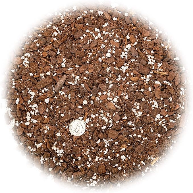 Premium Monstera Potting Soil - Quick Drain Potting Soil for Growing and Repotting Monstera Deliciosa/Swiss Cheese Plant - 3 Quart Bag-VerdiqueGarden