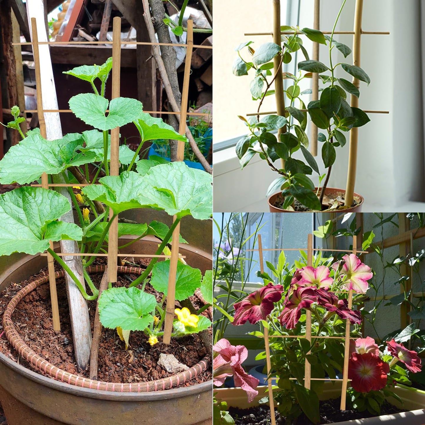 Garden Bamboo Trellis 16 Inch Fan Shaped Small Plant Trellis,Natural Wood Trellis for Climbing Plants Orchid Monstera Indoor Potted Plants-3 Pack-VerdiqueGarden