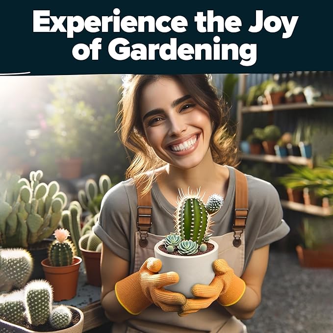 HOME GROWN Succulent & Cactus Seed Kit for Planting – [Enthusiasts Favorites] Premium Cactus & Succulent Starter Kit: 4 Planters, Drip Trays, Markers, Seeds Mix, Soil - DIY Gift Kits-VerdiqueGarden