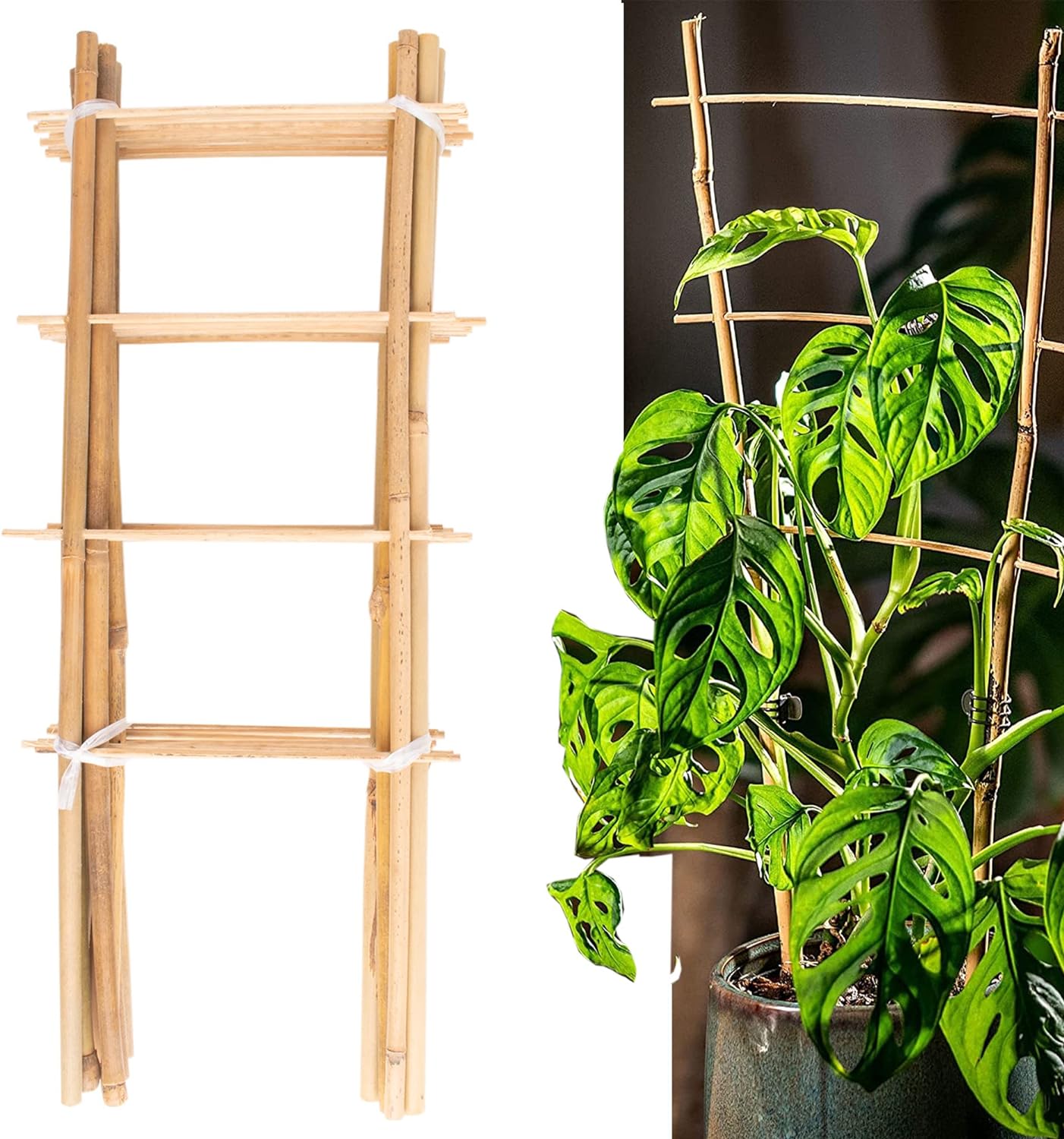 Avalution 10 Pack Natural Bamboo Trellis for Climbing Plants 16" Outdoor Garden Ladder Trellis, Fan -Shaped Plant Support Trellis for Potted Plant-VerdiqueGarden