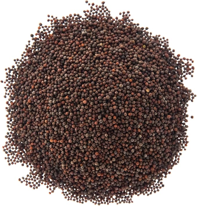 Broccoli Seeds for Sprouting & Microgreens | Waltham 29 Variety | Non GMO & Heirloom Seeds | 8 oz Resealable Bag | Rainbow Heirloom Seed Co.-VerdiqueGarden