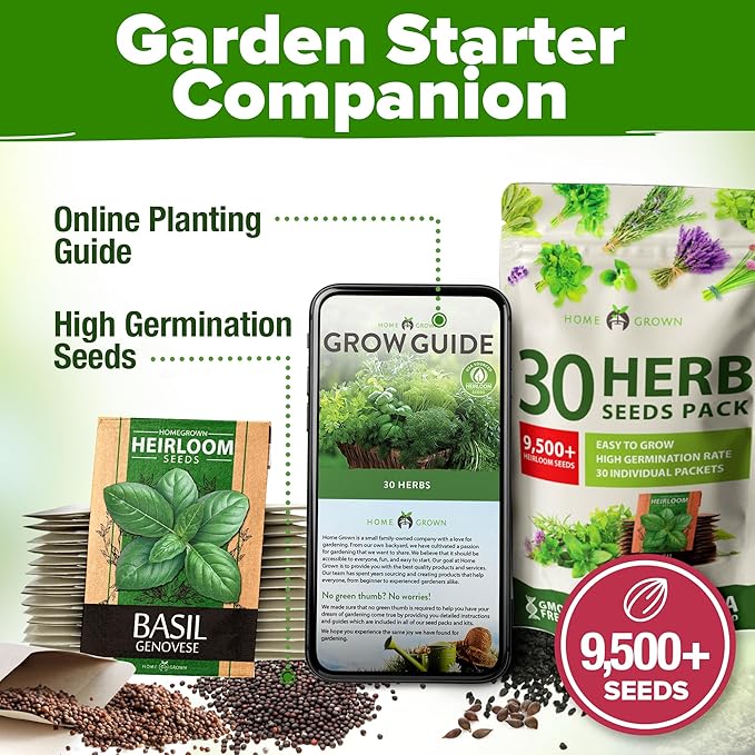 HOME GROWN 30 Herb Seeds for Planting 9,500+ Non-GMO Heirloom Seeds | Extra Large Variety Pack Herb Kit – Indoor Outdoor & Hydroponic | Culinary Seed Set | Grow Your Own Herbs | Gardening Gift-VerdiqueGarden