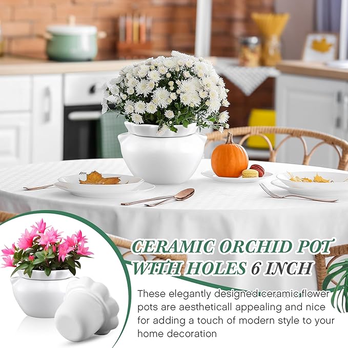 1 Set 7.5 Inches African Violet Pots Self Watering White Ceramic Pot for Indoor Plants, Flowerpot with Highly Absorbent Inner Pot for Busy Plant Lovers, Plant Care-VerdiqueGarden