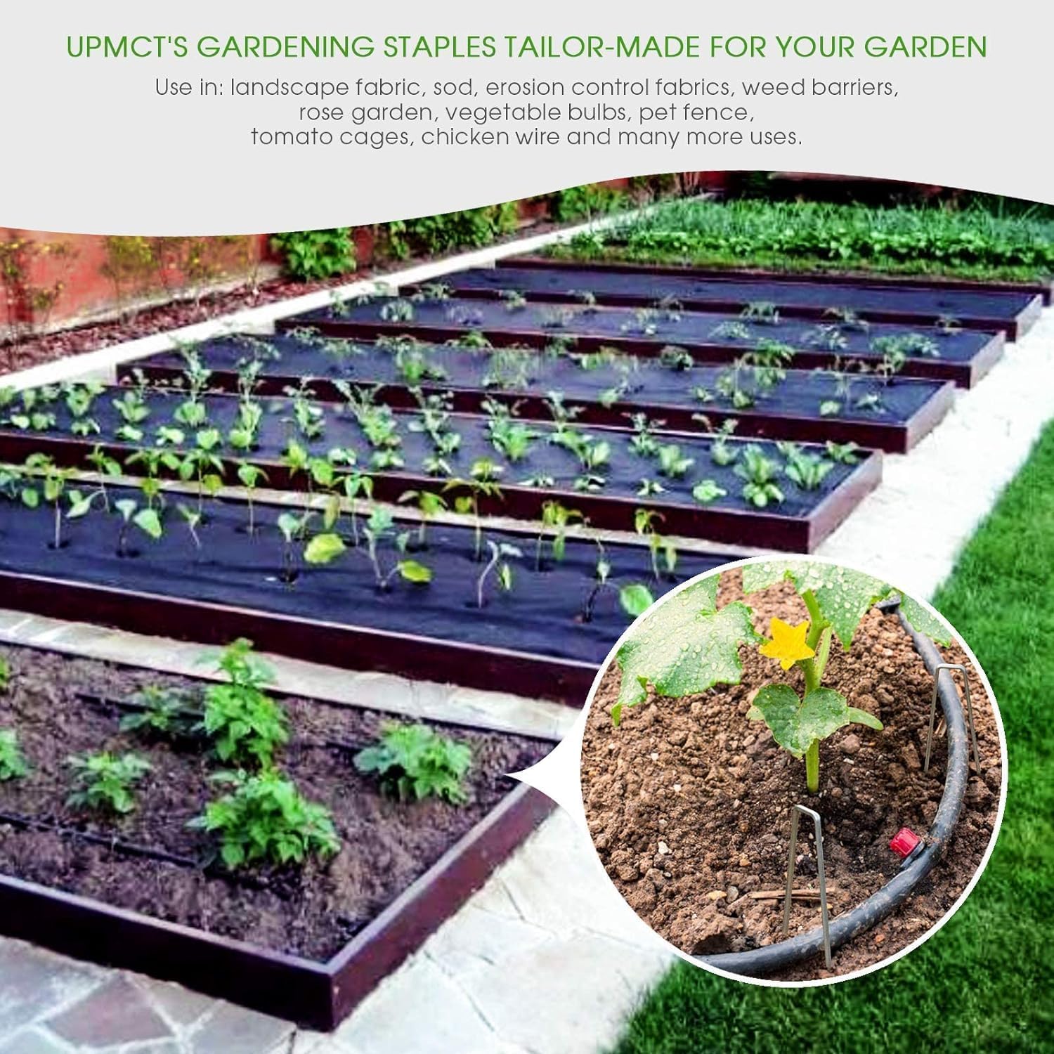 12 Inch Galvanized Garden Landscape Staples Stakes, 25 50 100 PCS Anti-Rust Garden Staples U-Shaped Landscape Pins for Secure Lawn Fabric (100, 12 Inch)-VerdiqueGarden