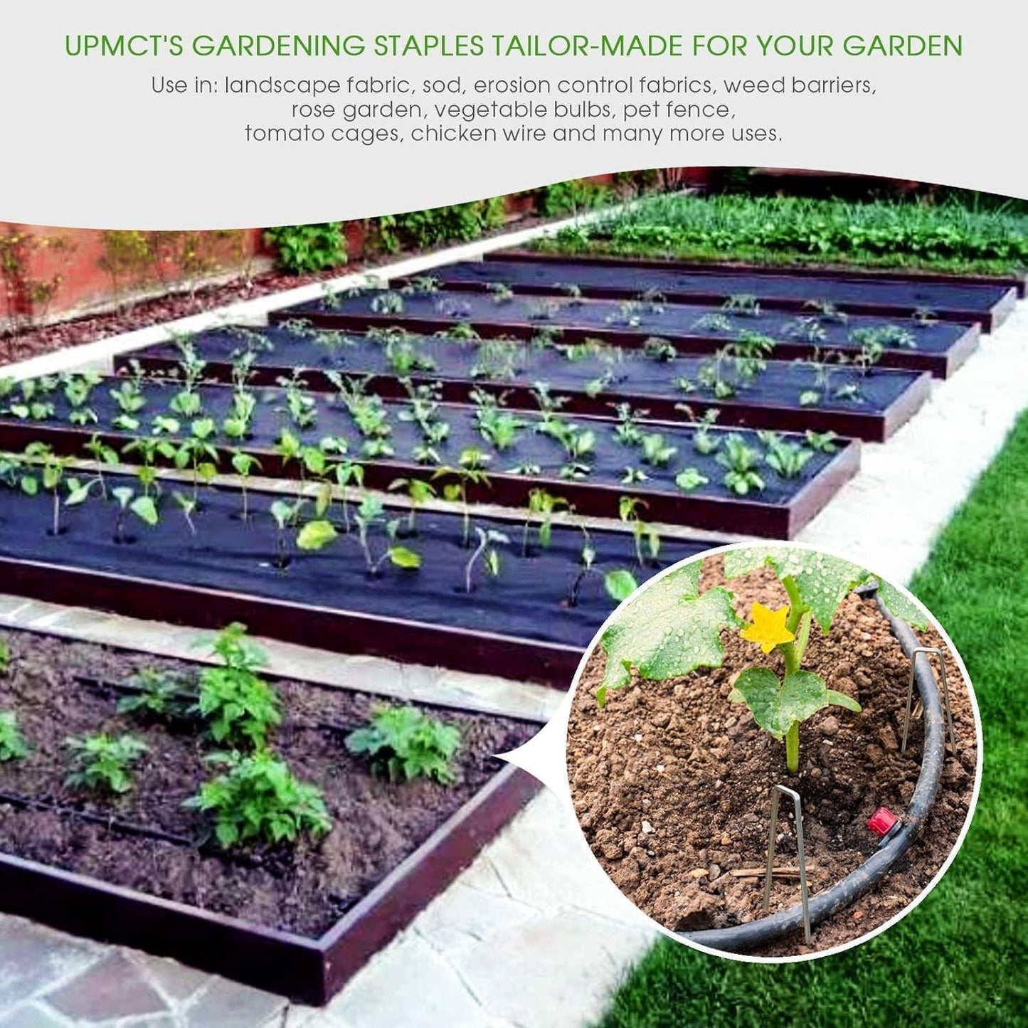 12 Inch Galvanized Garden Landscape Staples Stakes, 25 50 100 PCS Anti-Rust Garden Staples U-Shaped Landscape Pins for Secure Lawn Fabric (50, 12 Inch)-VerdiqueGarden