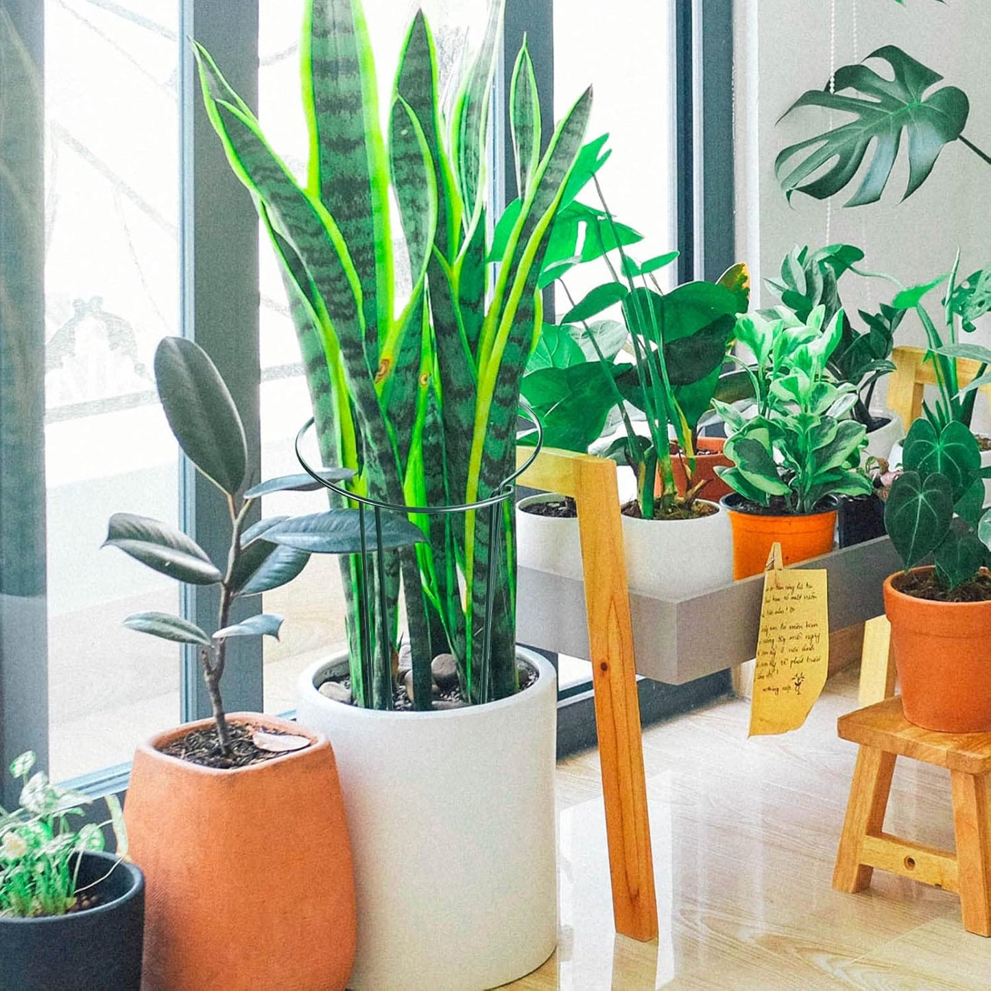 HiGift 6 Pack 24 Inch Plant Stakes, 10" Wide x 24" High Half Round Metal Peony Cages and Support, Green Garden Plant Stake Plant Support Ring Border for Peony Tomato,Hydrangea,Flower Indoor Outdoor-VerdiqueGarden