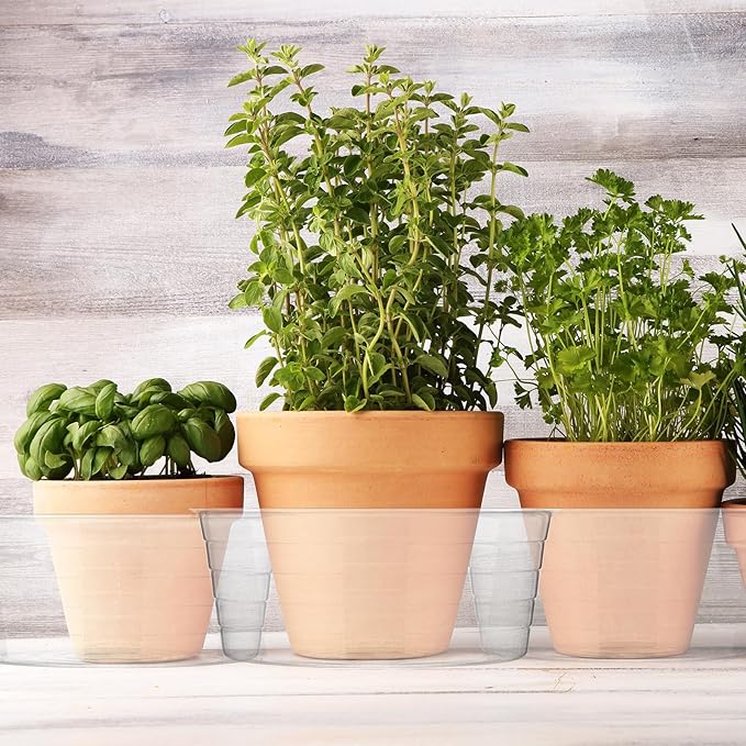 Hoolerry Plastic Plant Saucer Clear Deep Drip Tray Thickened Clear Plant Saucers Trays for Pots Deep Drip Trays for Home Garden Indoor and Outdoor Potted(15 Pcs,12 Inch)-VerdiqueGarden