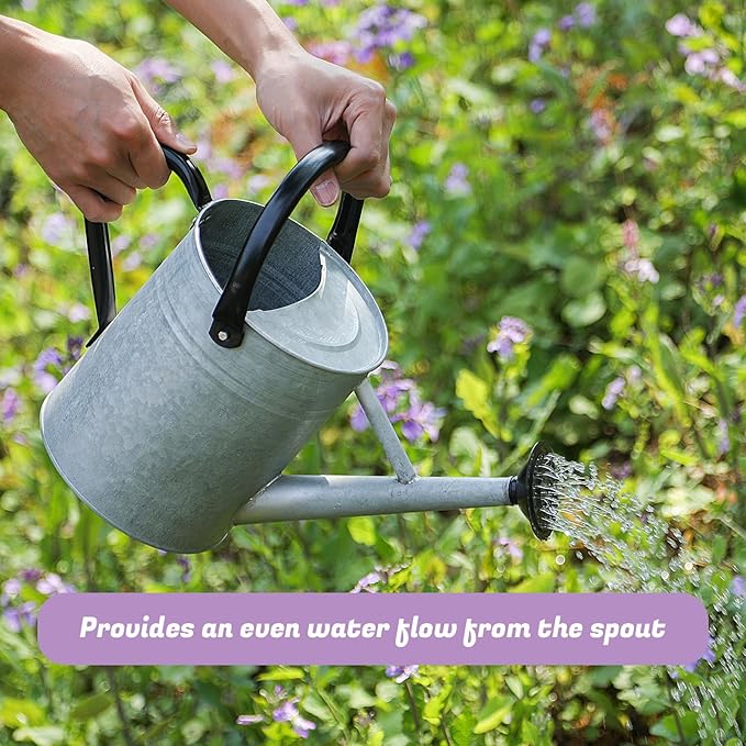 1 Gallon Watering Can for Plants, Watering Cans for Indoor&Outdoor Gardening, Galvanized Steel Watering Pot with Removable Spout, Metal Water Can with Ergonomic Movable Handle(Rustic Silver)-VerdiqueGarden
