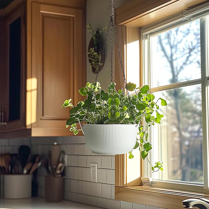 T4U Hanging Planter Self Watering 8 Inch, 2 Pack White Indoor Outdoor Hanging Plant pots, Hanging Flower Pot with Drainage Hole & Plug & Chain with 3 Hooks for Garden Home Decor-VerdiqueGarden