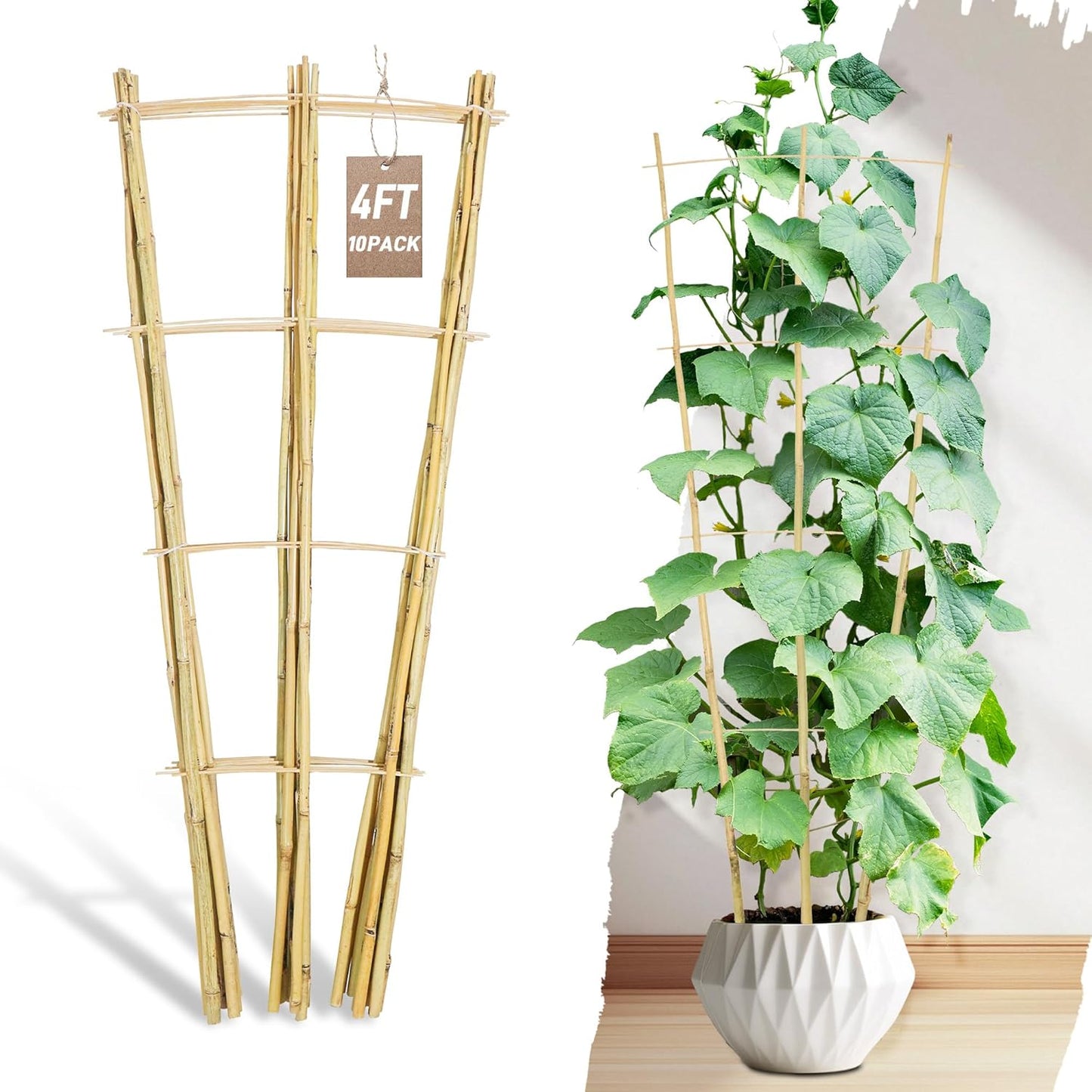 Avalution 10 Pack Bamboo Trellis for Climbing Plants, 4 FT Garden Ladder Trellis for Potted Plants Indoor, Fan-Shaped Small Plant Support Trellis for Houseplants Ivy Hoya Vine Monstera-VerdiqueGarden