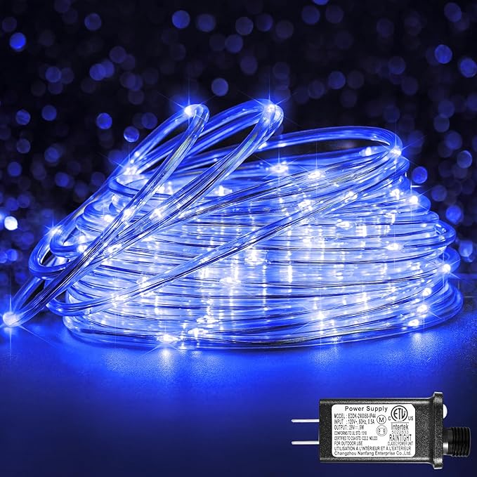 66FT 200 LED Rope Lights for Outside, Christmas String Lights with Waterproof 8 Modes, Flexible and Connectable Plug in Fairy Lights for Outdoor Indoor Bedroom Patio Party Wedding Decorations, Blue-VerdiqueGarden