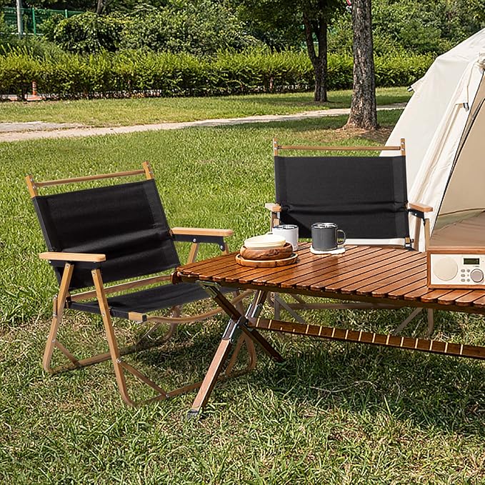 Outvita Portable Folding Camping Chair, 4pcs Ultralight Low Beach Chair, Durable Aluminum Frame Armchairs for Hiking Concert Fishing Picnic, Supports 229Lbs-VerdiqueGarden