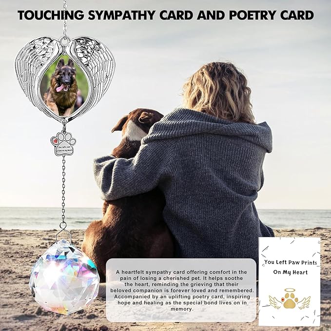 Pet Memorial Suncatcher - Dog Memorial Gifts for Loss of Dog, Christmas Pet Paw Print Photo Ornament, Pet Sympathy Gift, Bereavement Gift Ideas for Dog or Cat Passing Away, Remembrance, Silver Metal-VerdiqueGarden