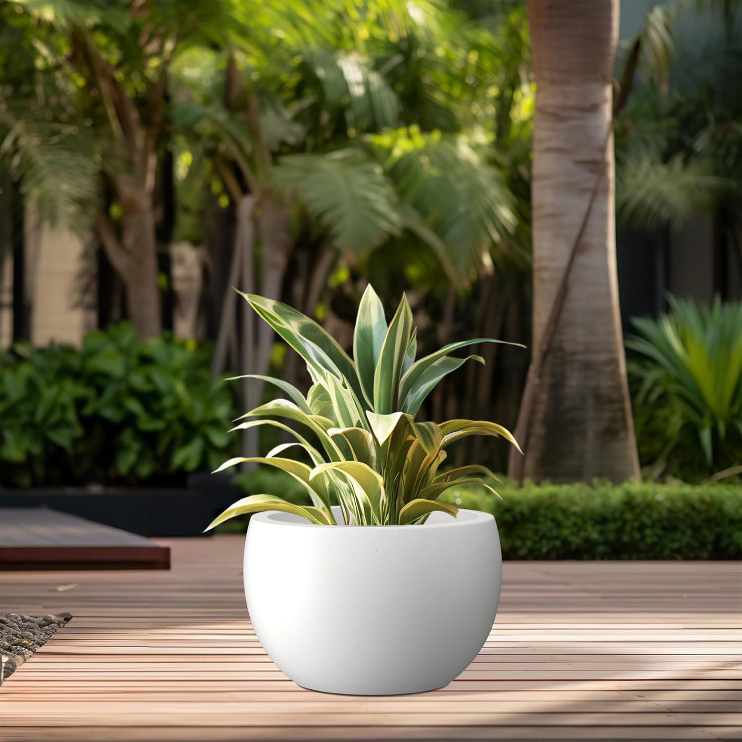 Kante 11.8" Dia Round Concrete Planter, Outdoor/Indoor Large Bowl Plant Pots with Drainage Hole and Rubber Plug for Garden Patio Balcony Home, Pure White-VerdiqueGarden