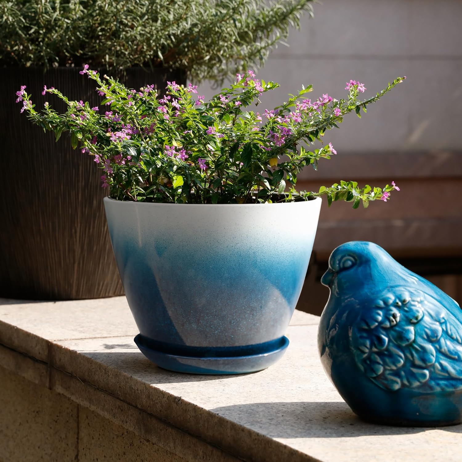 Worth Garden Plastic Round 8" Plant Pots - Set of 6 Multicolor Small Gloss Flower Pot Planters with Drainage Hole and Saucer - Home Decorative Christmas Containers-VerdiqueGarden